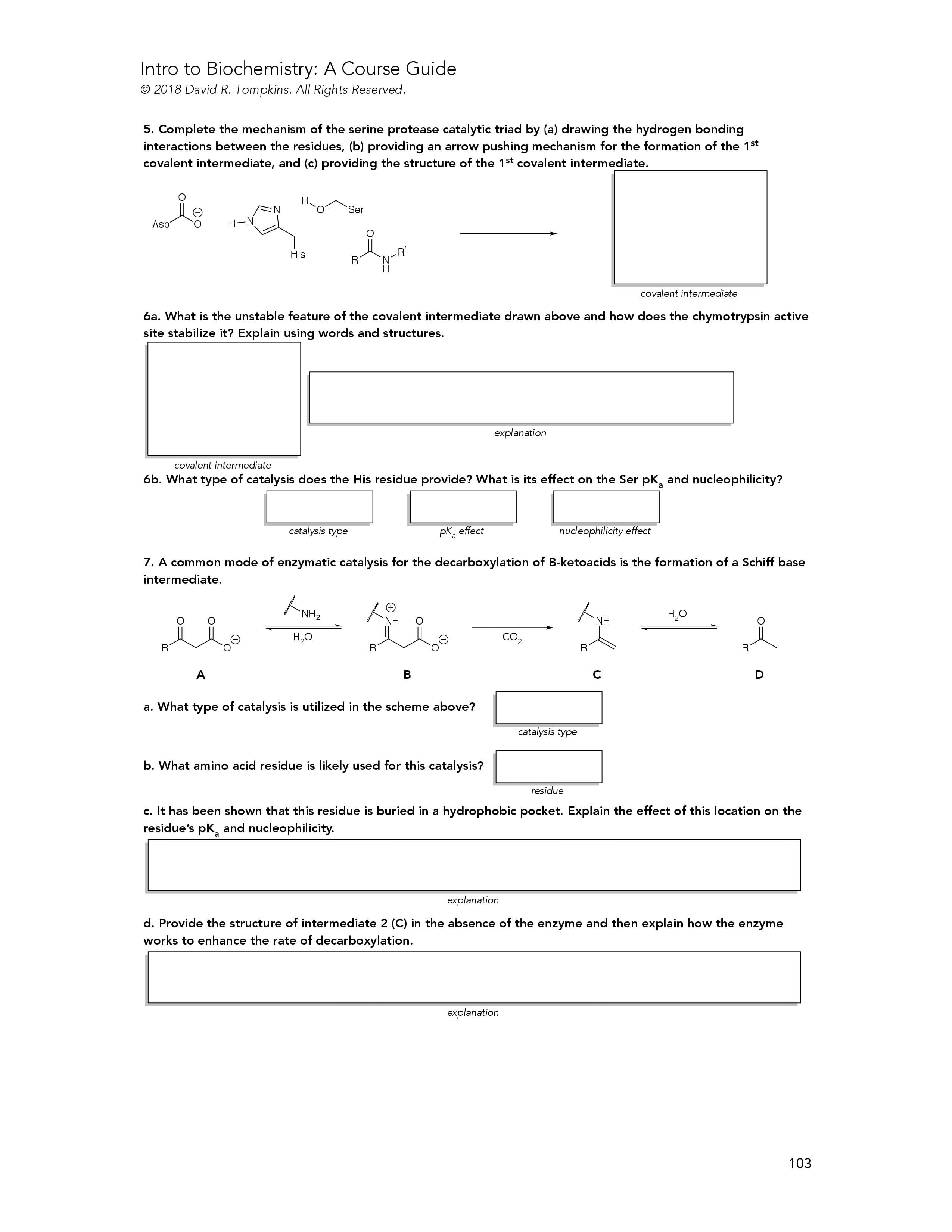 Introduction to Biochemistry Course Guide Example Page 2