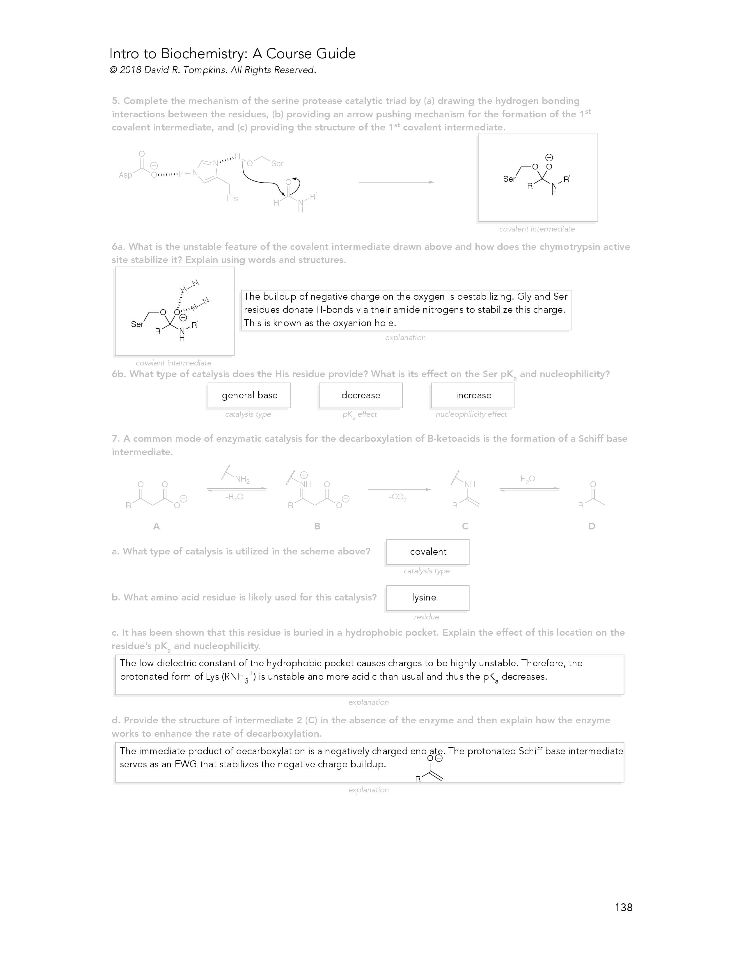 Introduction to Biochemistry Course Guide Example Page 6